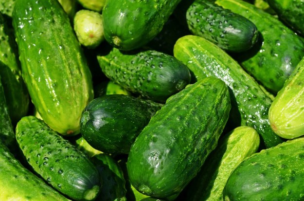 cucumbers-849269_640